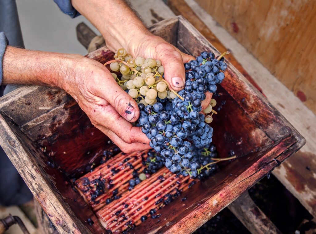 On grapes and raisins and wine